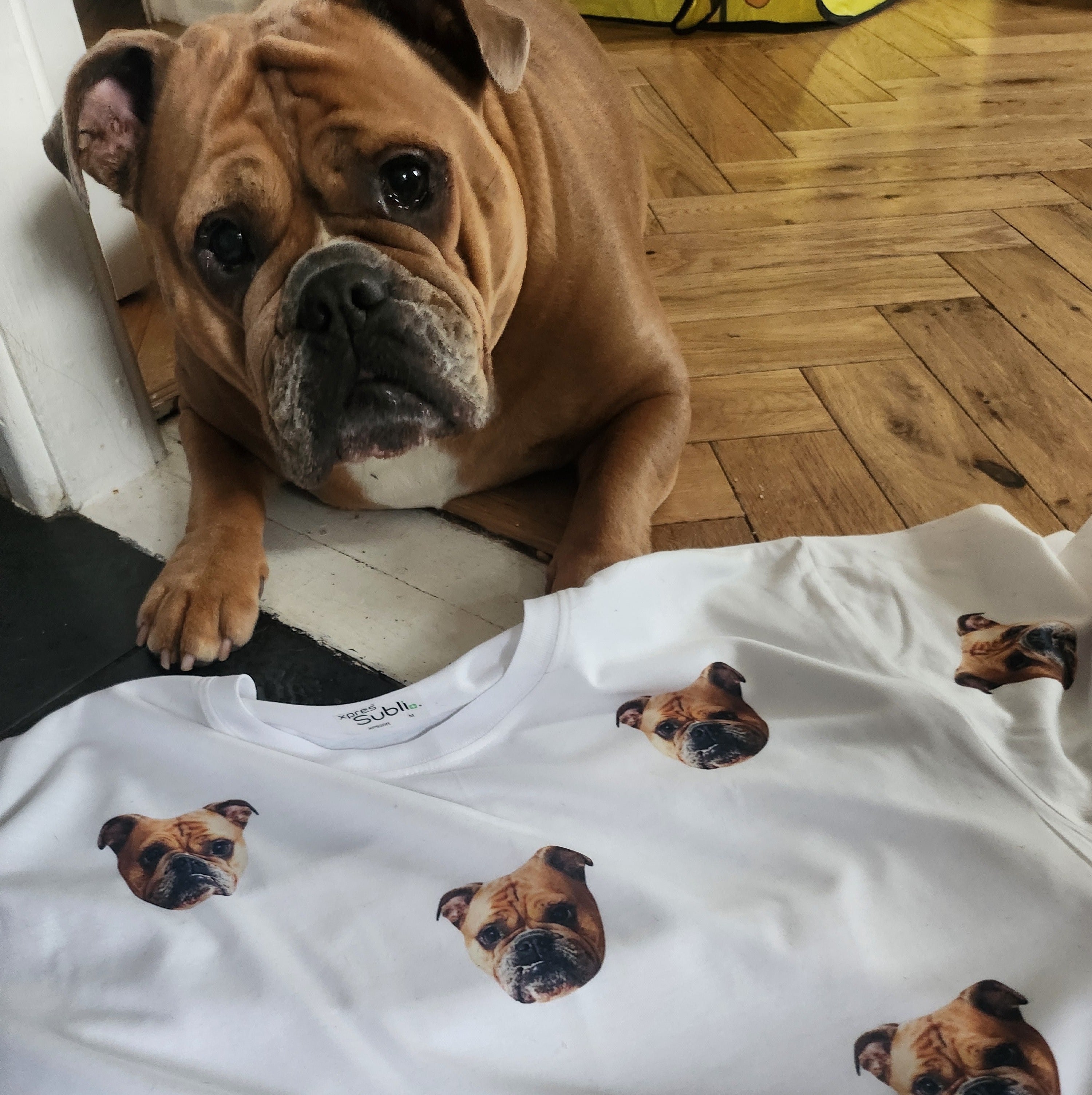 Your Dog Unisex White T-Shirt