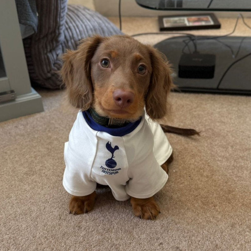 Personalized Spurs Dog Shirt