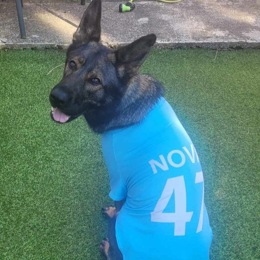 Personalized Man City Dog Shirt