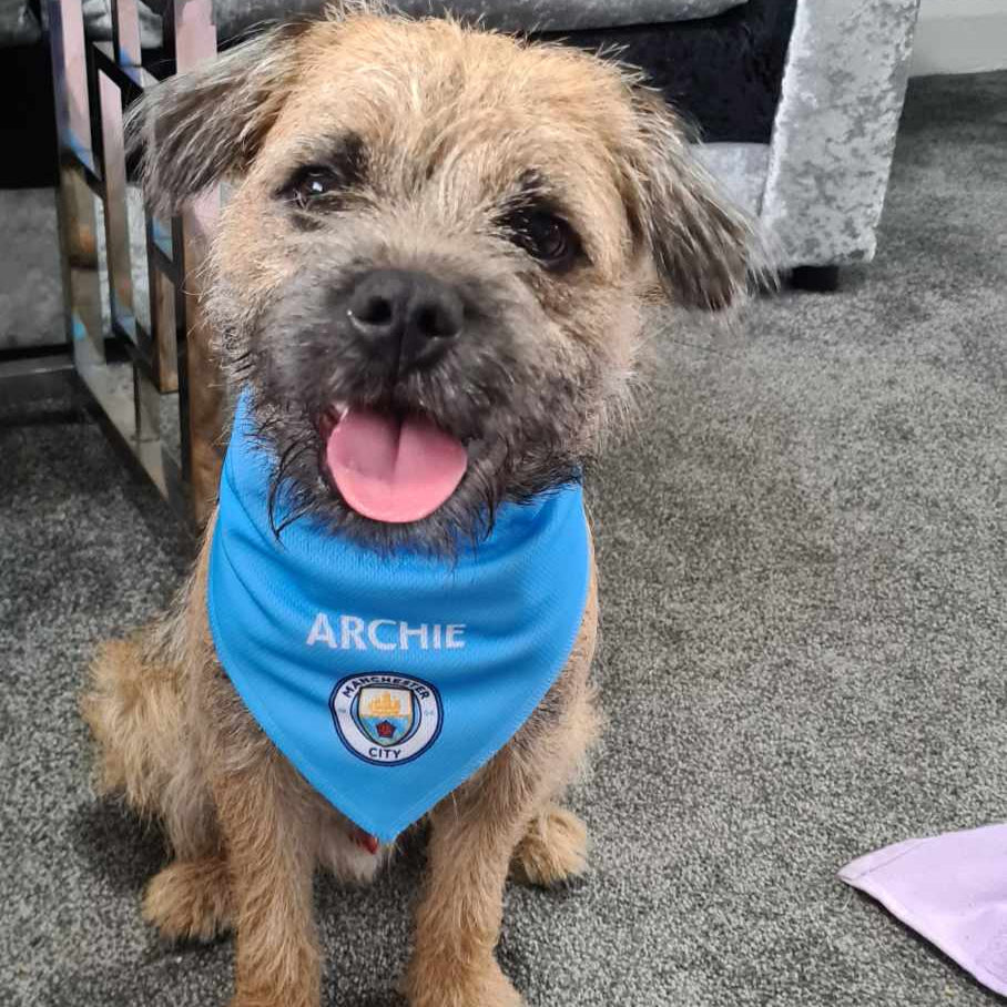 Personalized Man City Dog Bandana