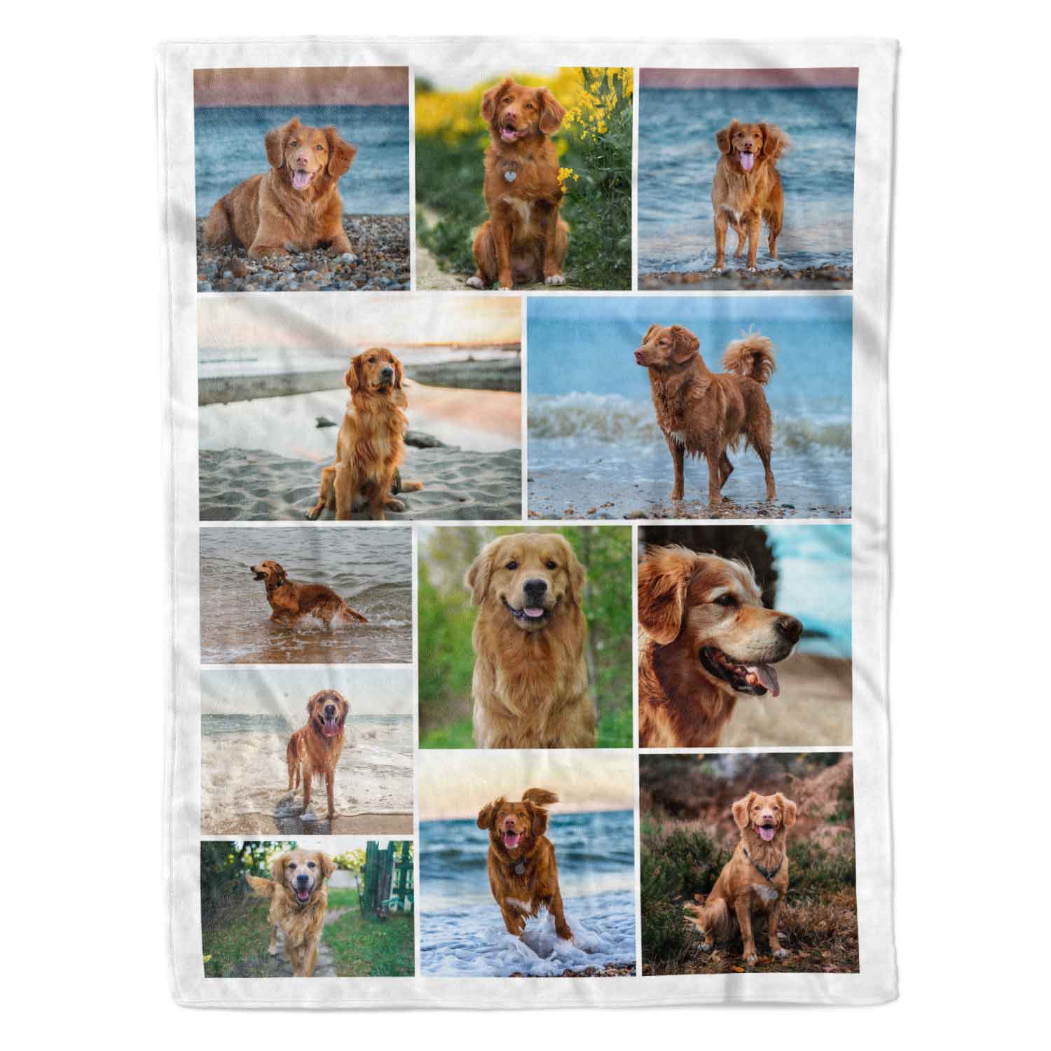 Collage of a dog in various poses on a blanket