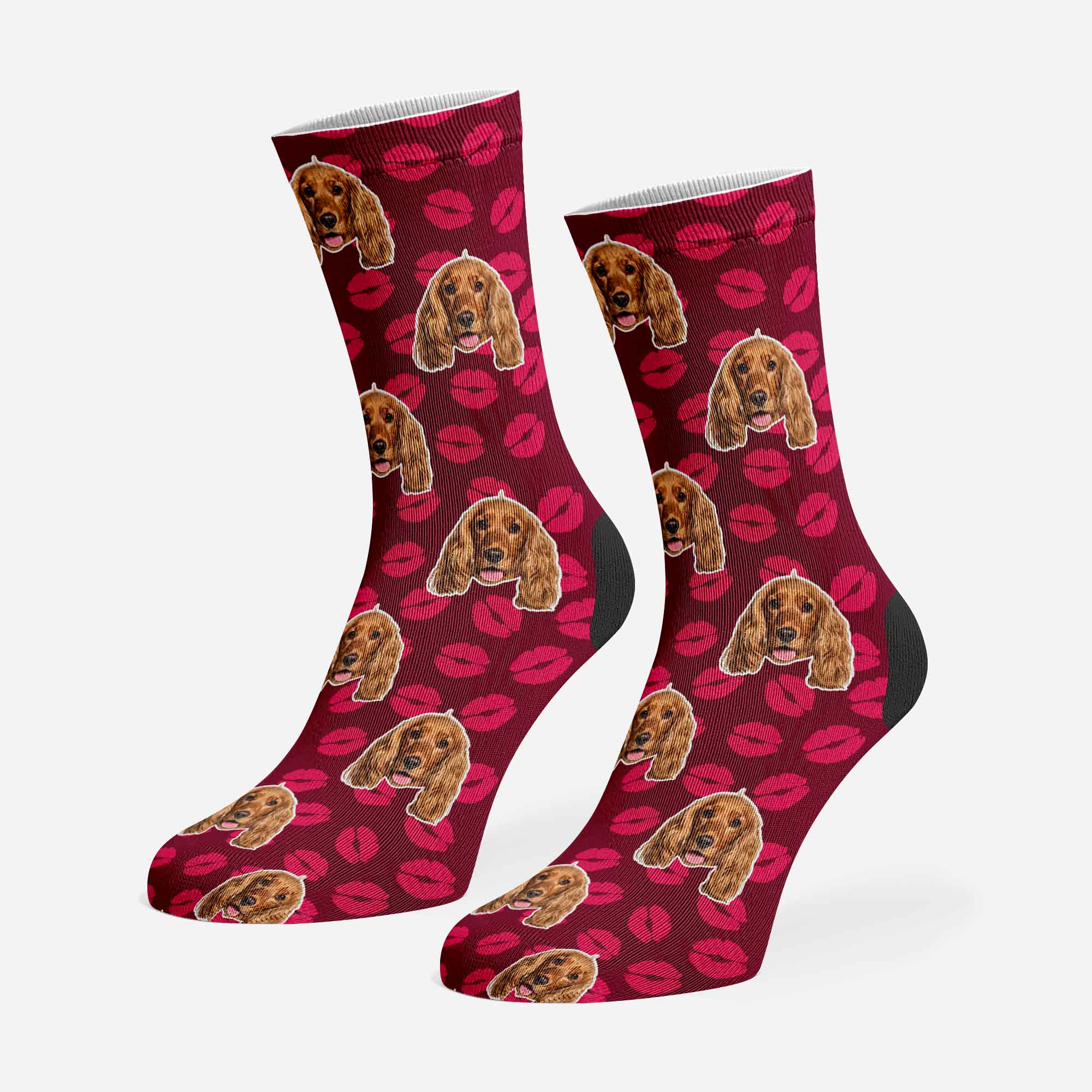 Kiss Dogzy Socks