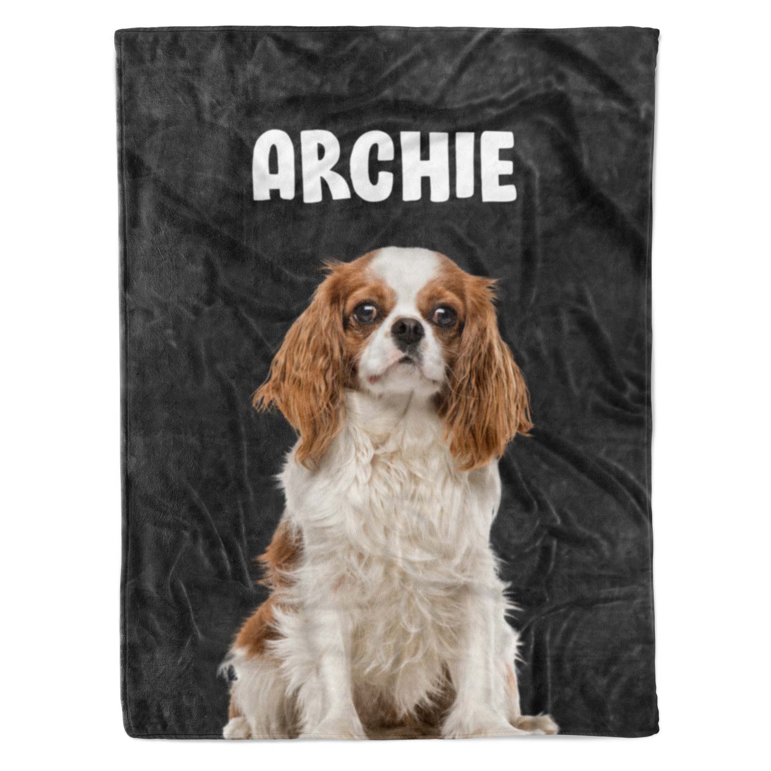 customized blanket for your dog