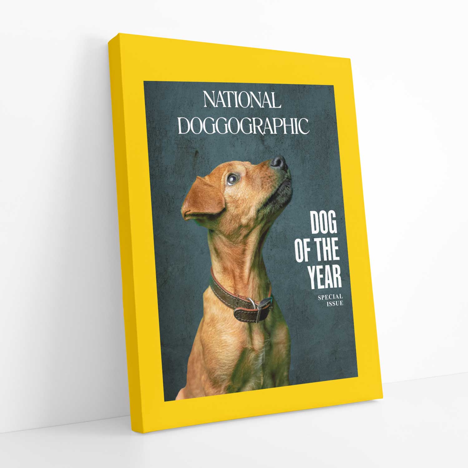 National Doggographic Photo Canvas
