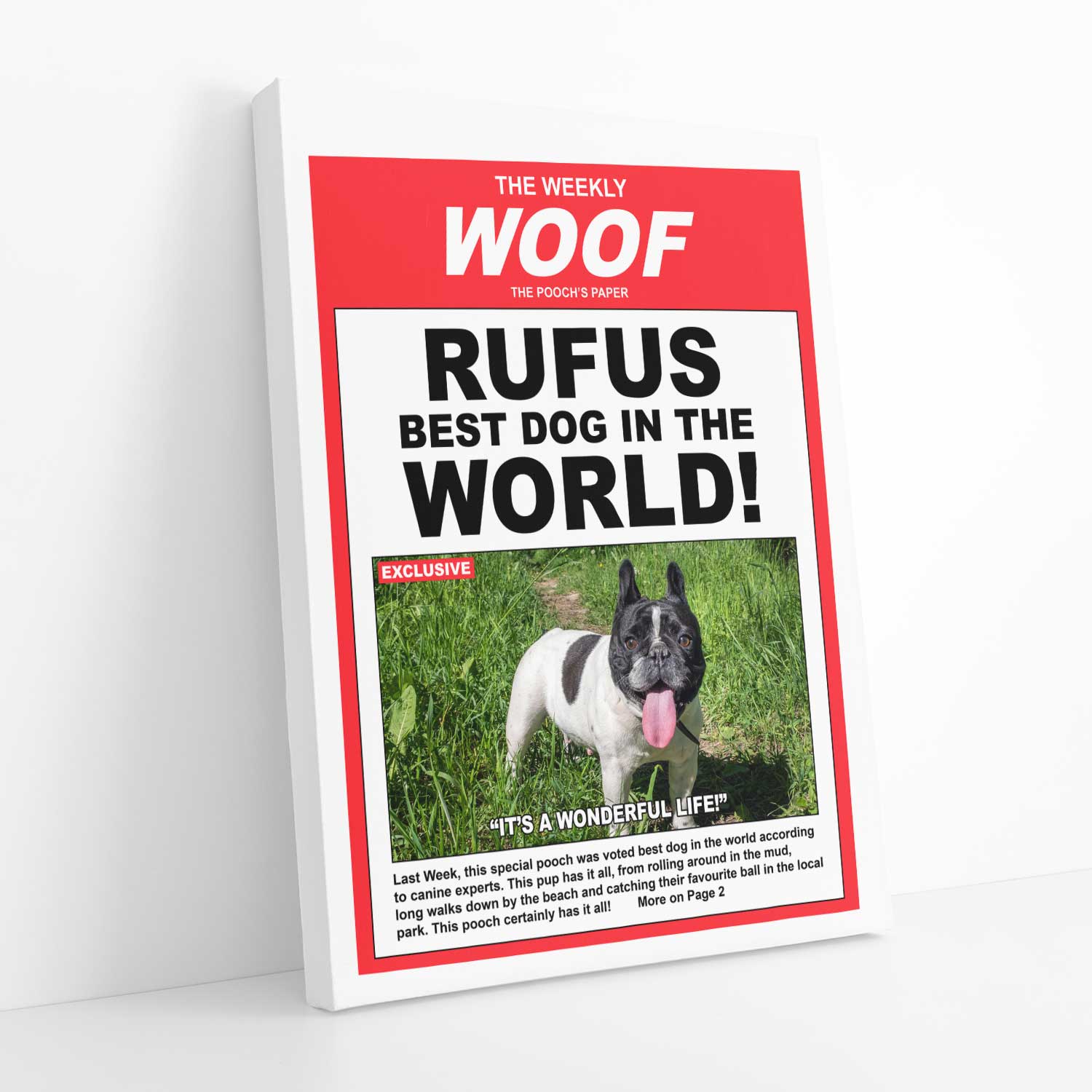 The Daily Woof Photo Canvas