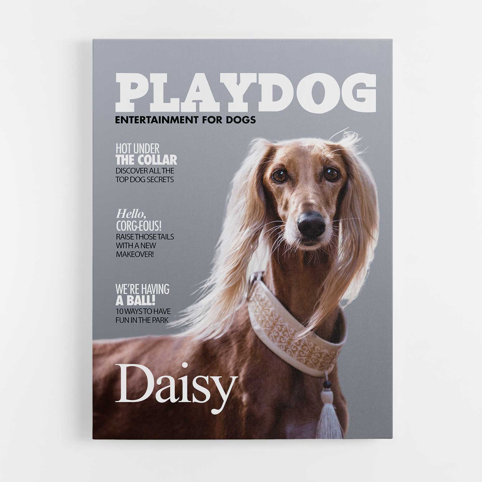 PlayDog Photo Canvas