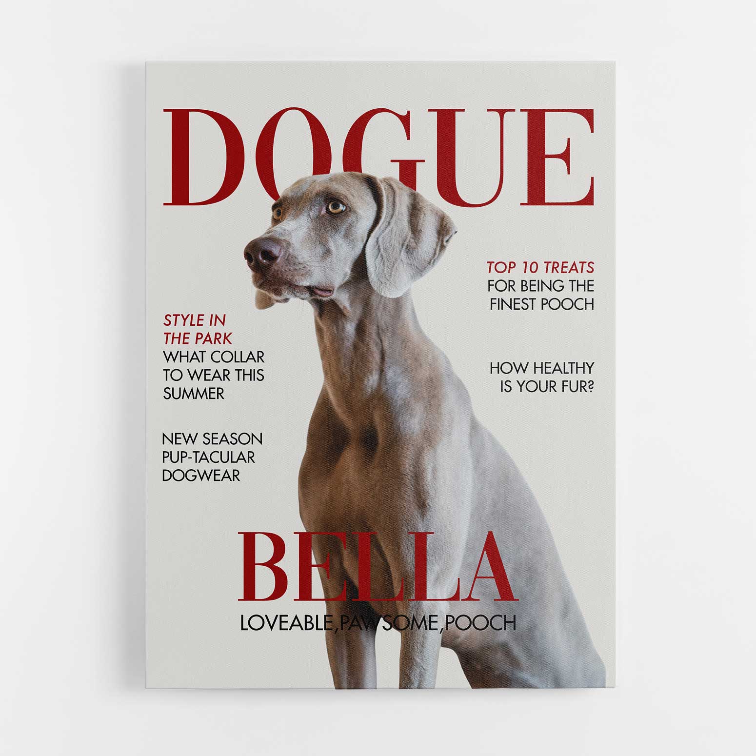 Dogue Photo Canvas