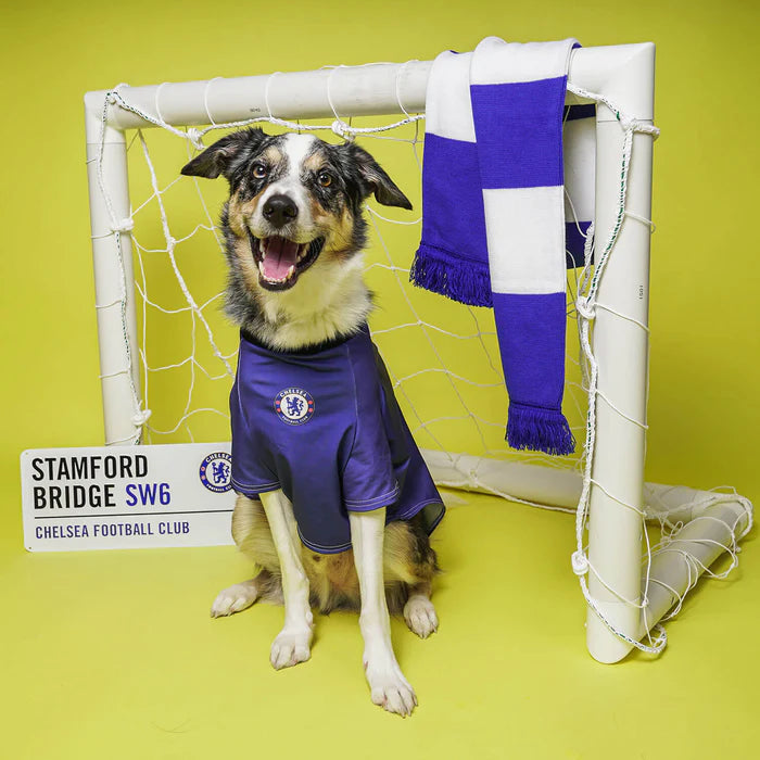 Personalized Chelsea Dog Shirt