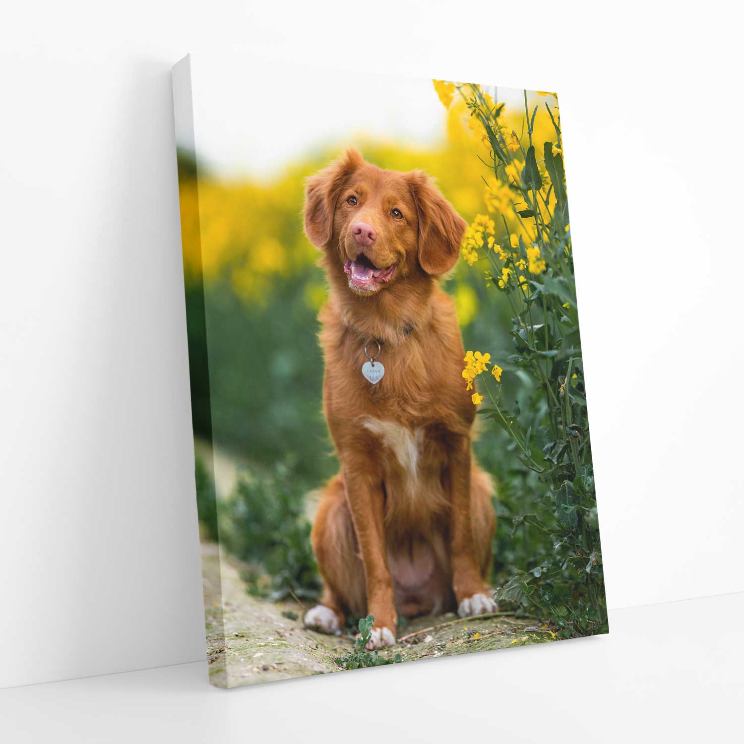 Your Dog Full Photo Canvas