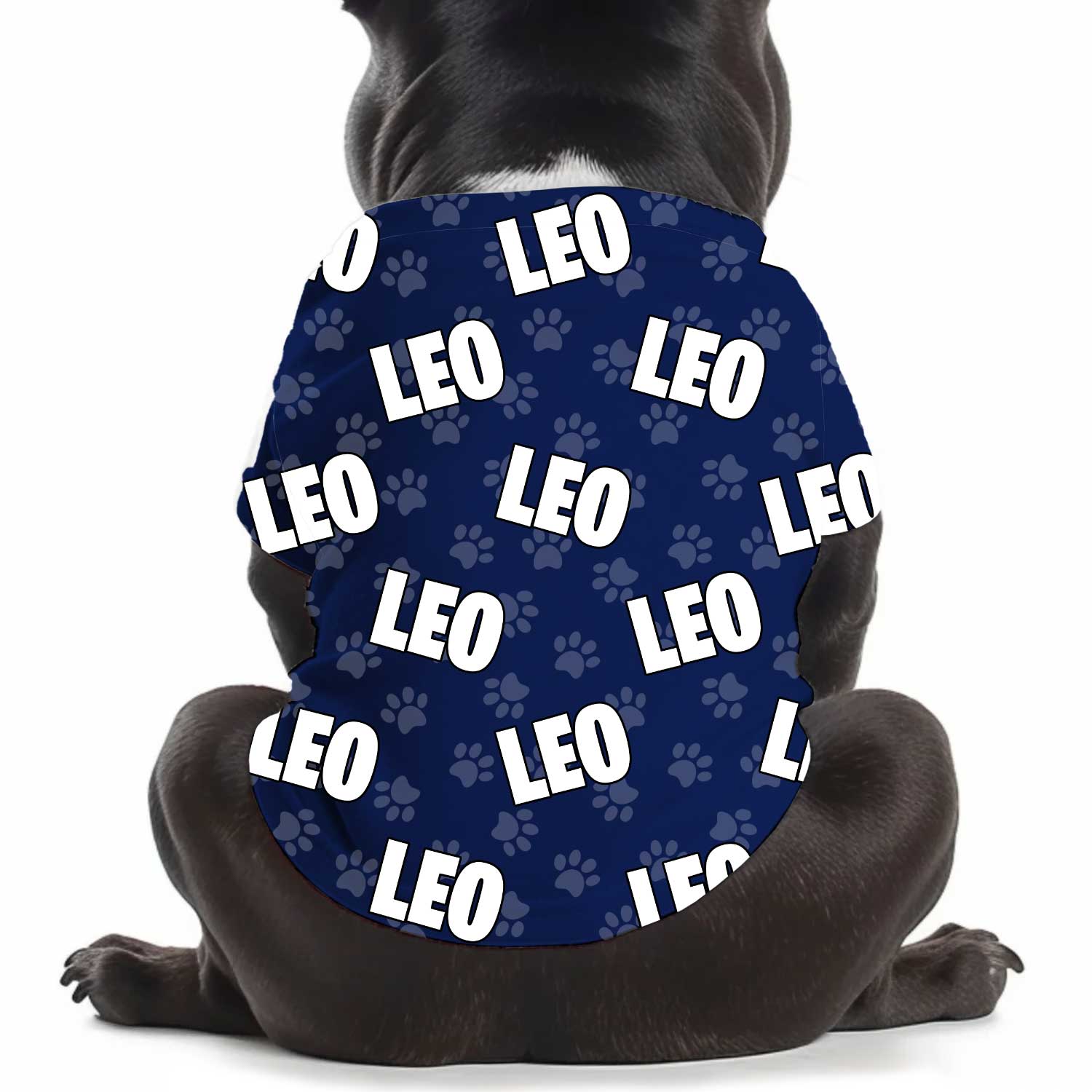 Dog Name Paw Print Personalized Dog T Shirt