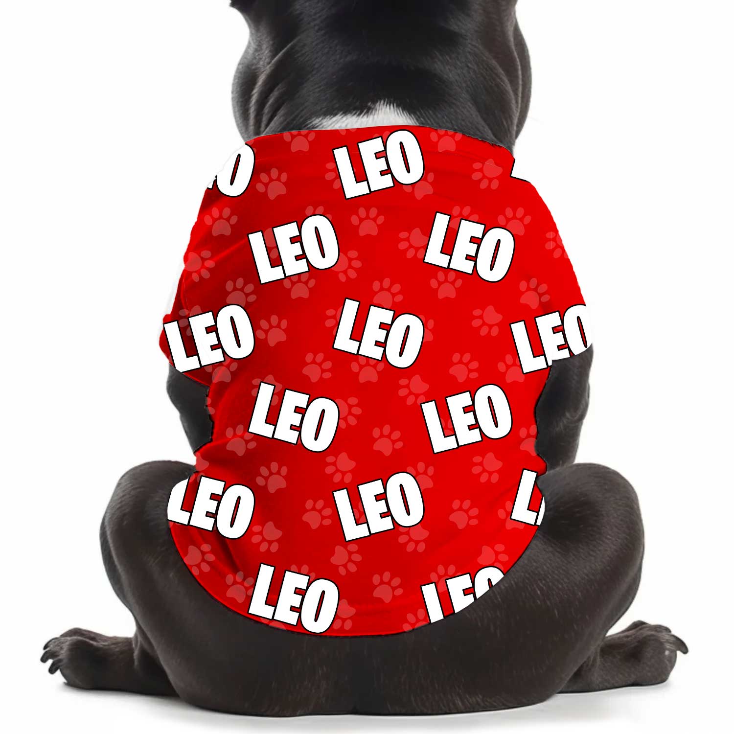 Dog Name Paw Print Personalized Dog T Shirt