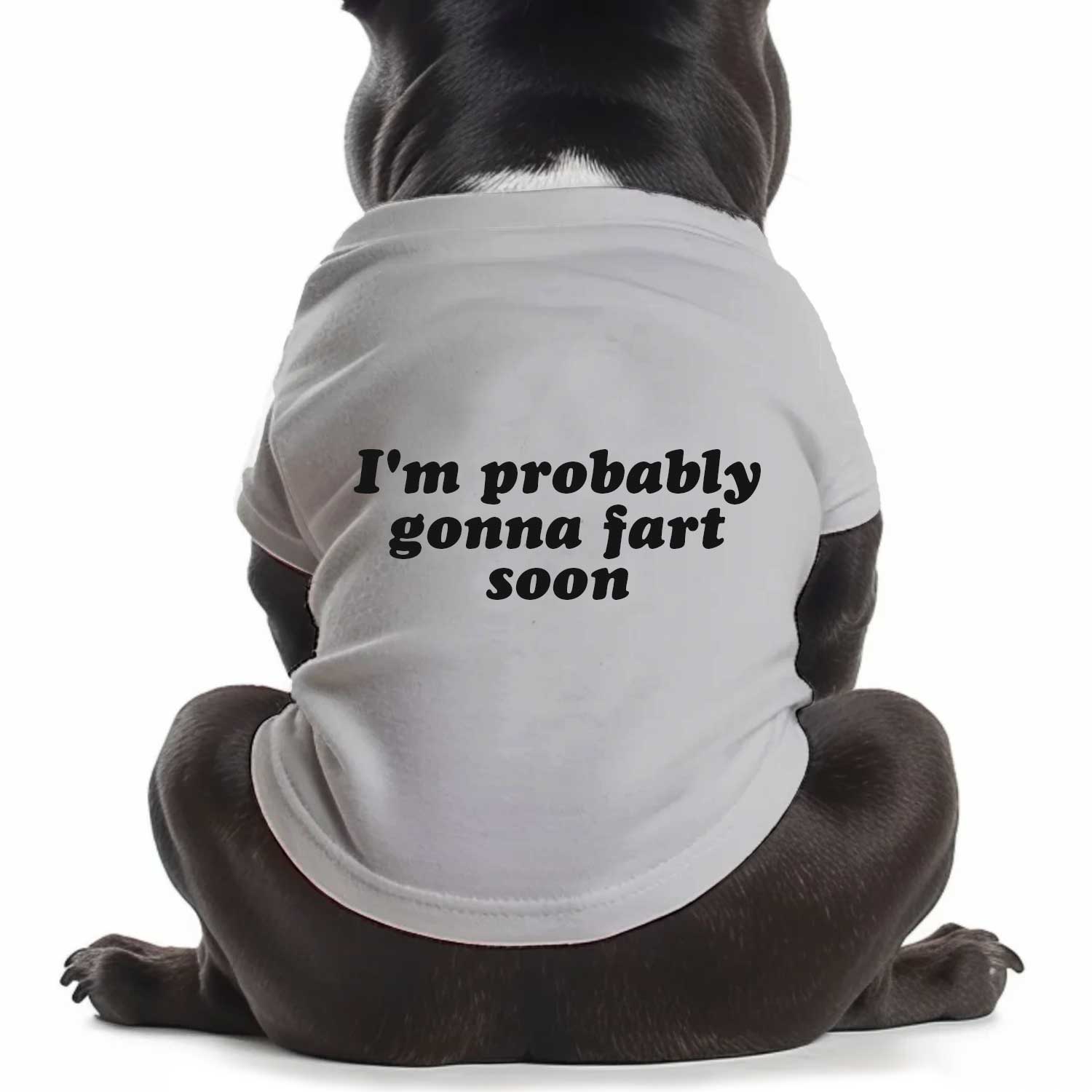 I'm Probably Gonna Fart Soon Dog T Shirt