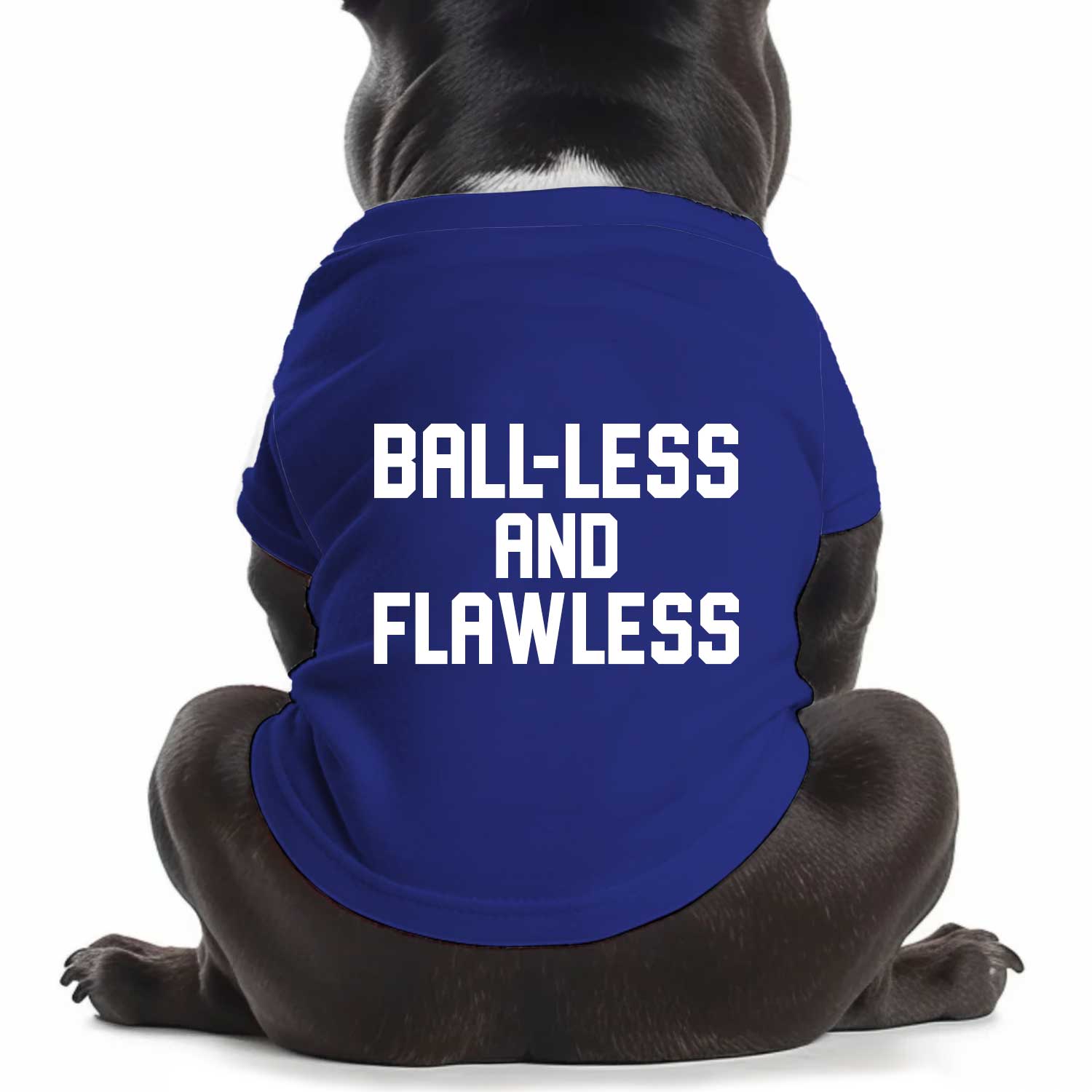 Ball-less & Flawless Dog T Shirt