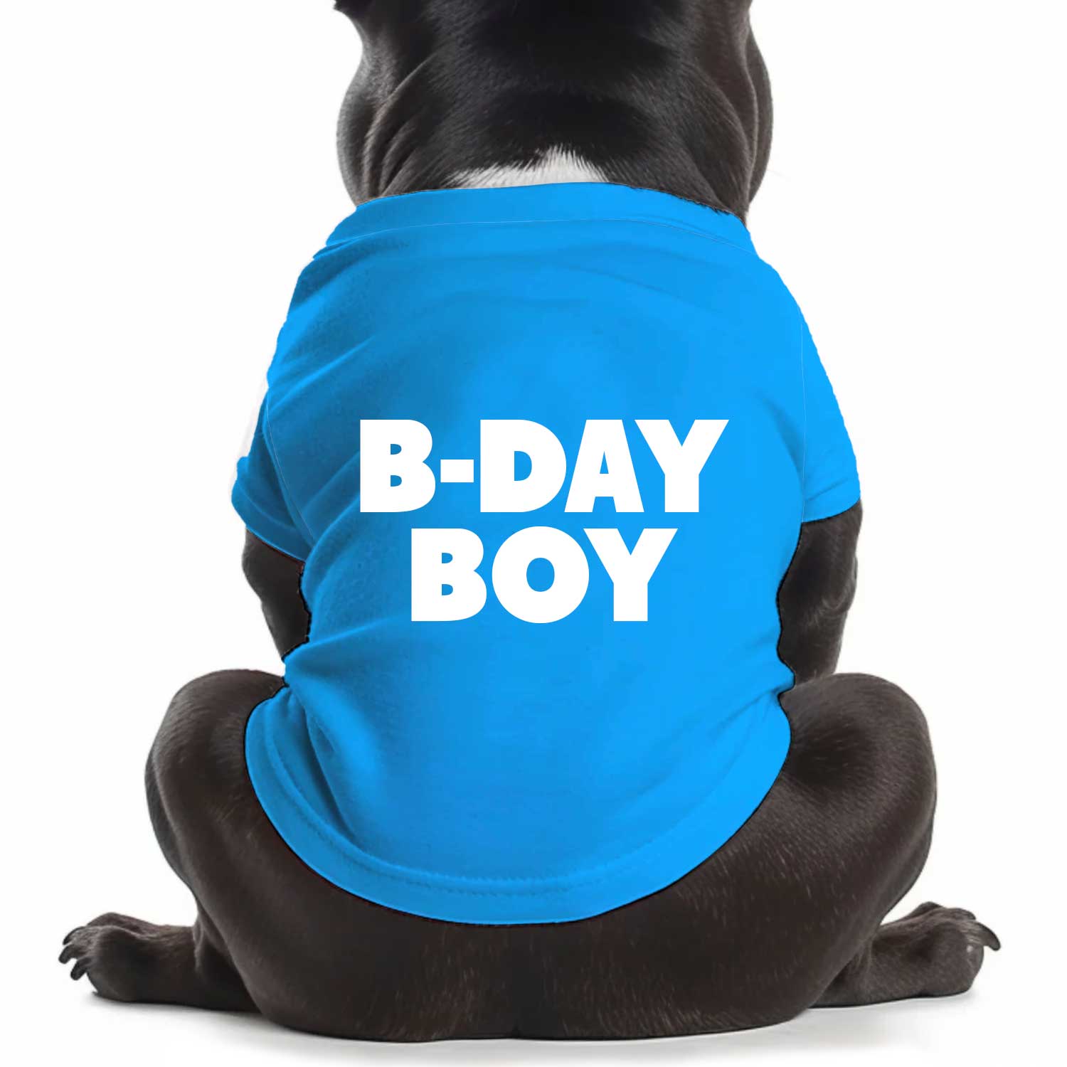 B-Day Boy Dog T Shirt