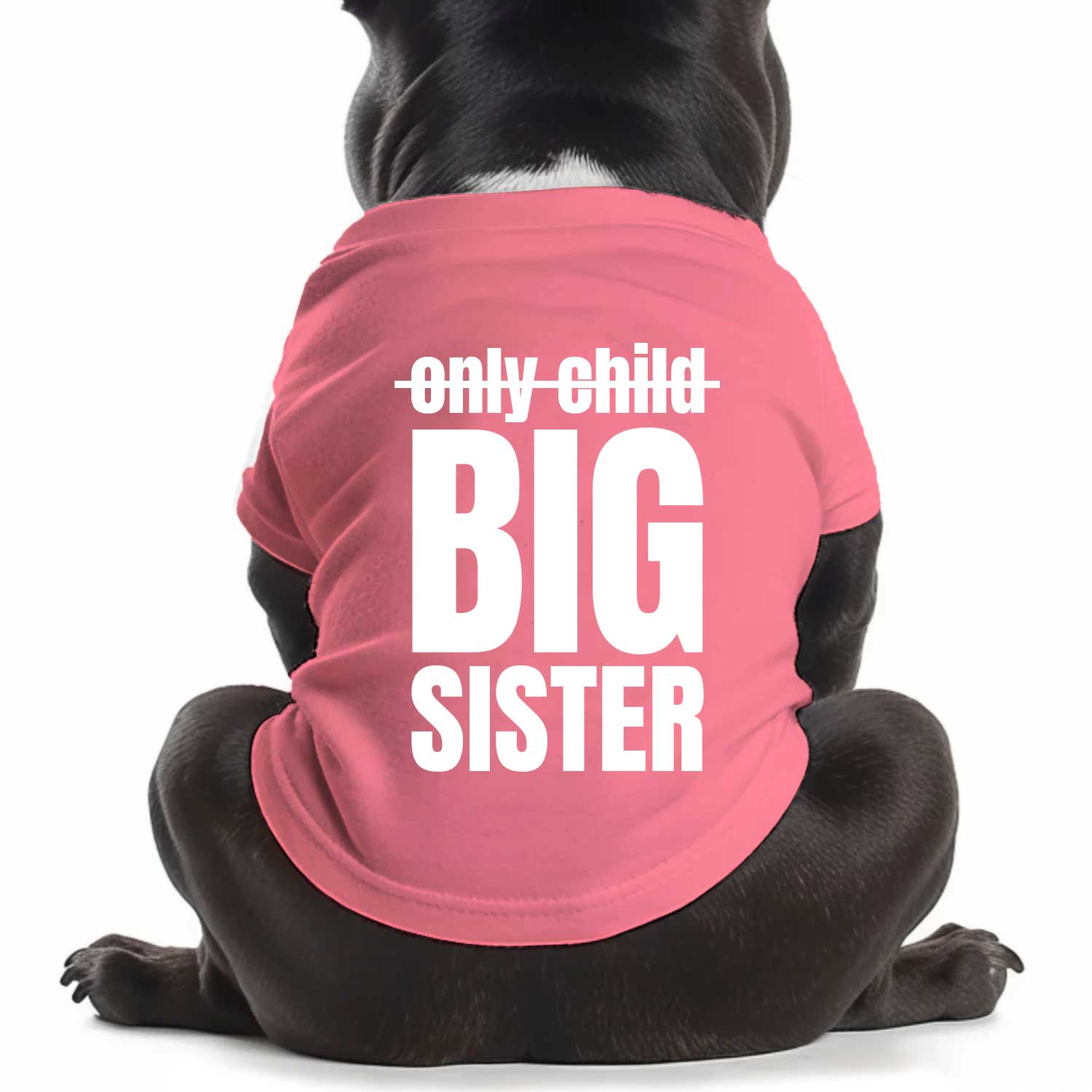 From Only Child To Big Sister Dog T Shirt