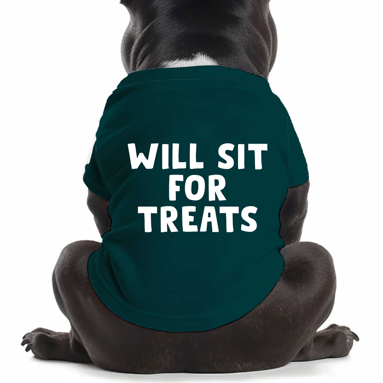 Will Sit For Treats Dog T Shirt