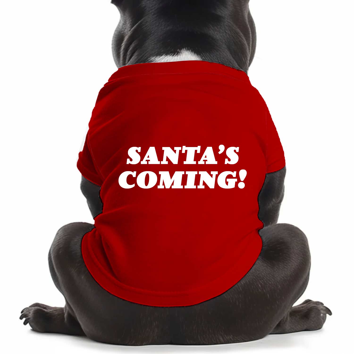 Santa's Coming Dog T Shirt