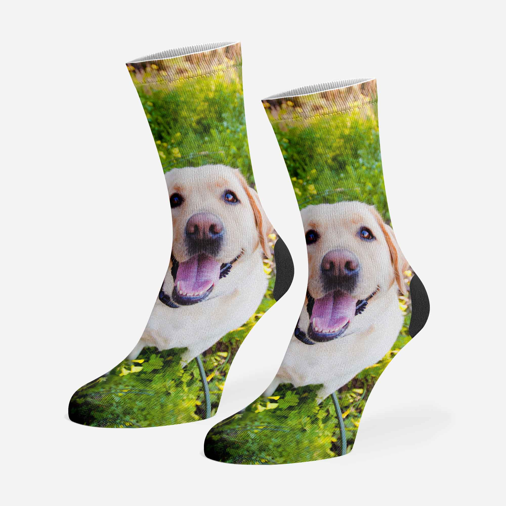 Full Photo Personalized Dog Socks