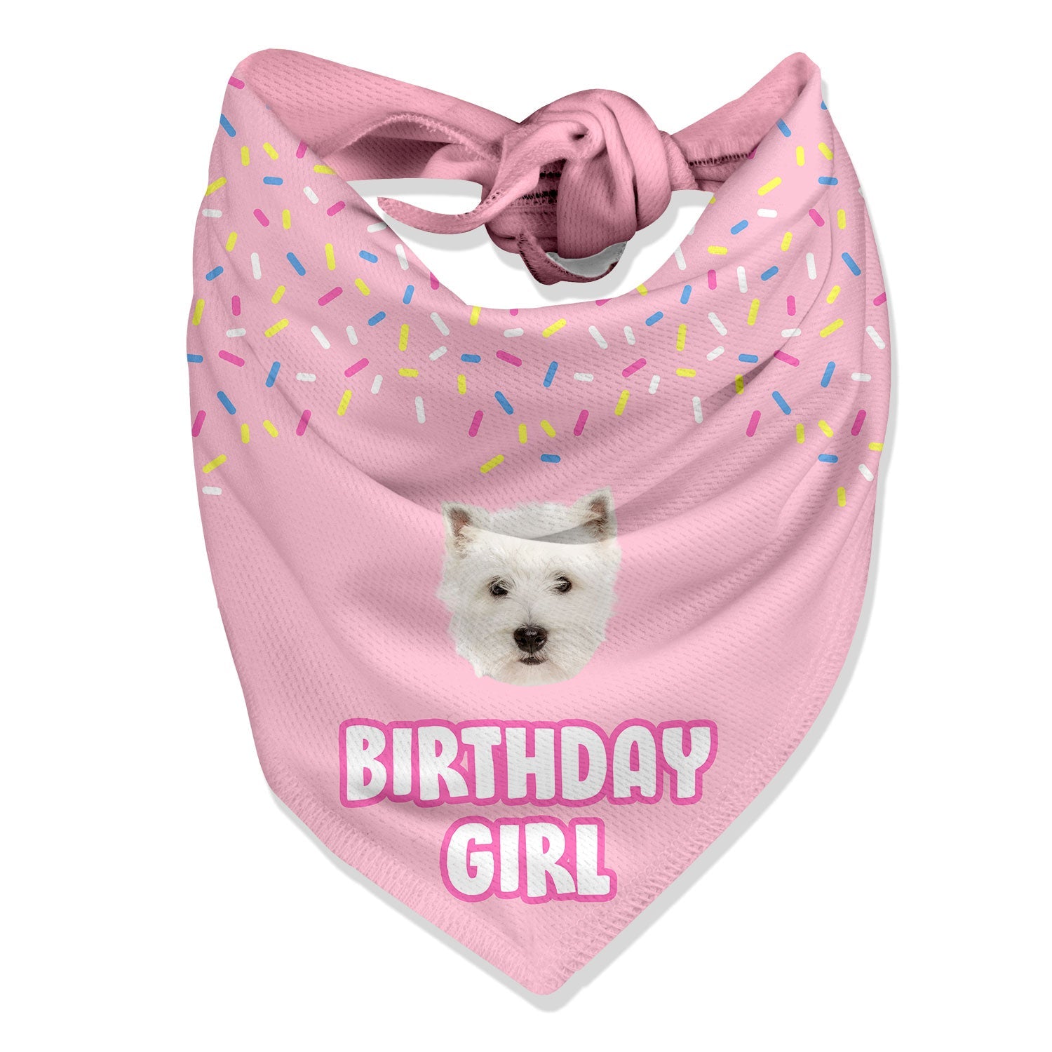 birthday girl dog bandana