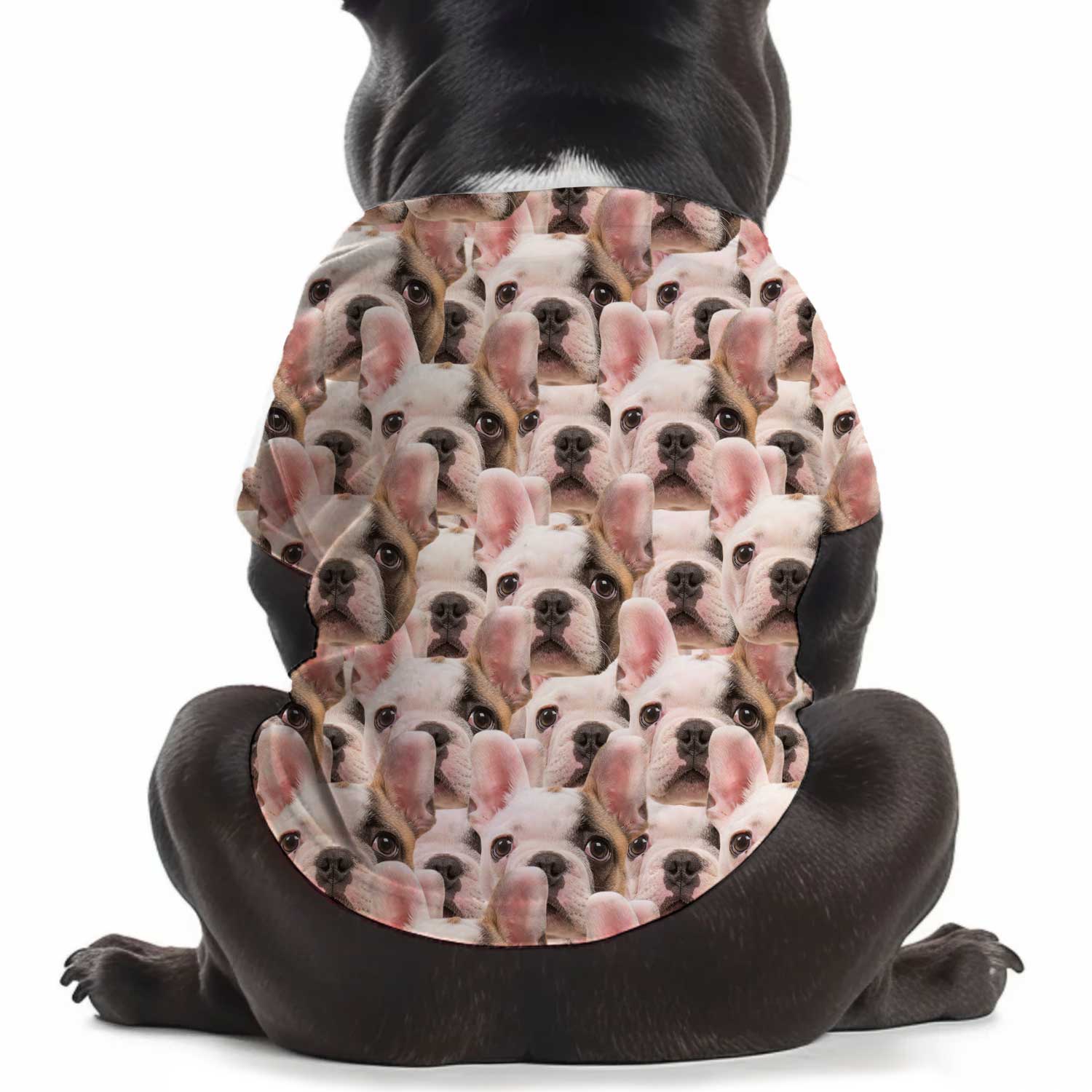 Personalized Dog T Shirt