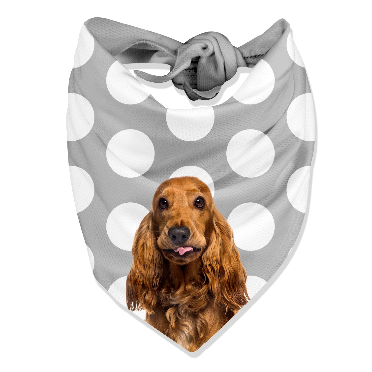 Dogzy Spotty Personalized Dog Bandana