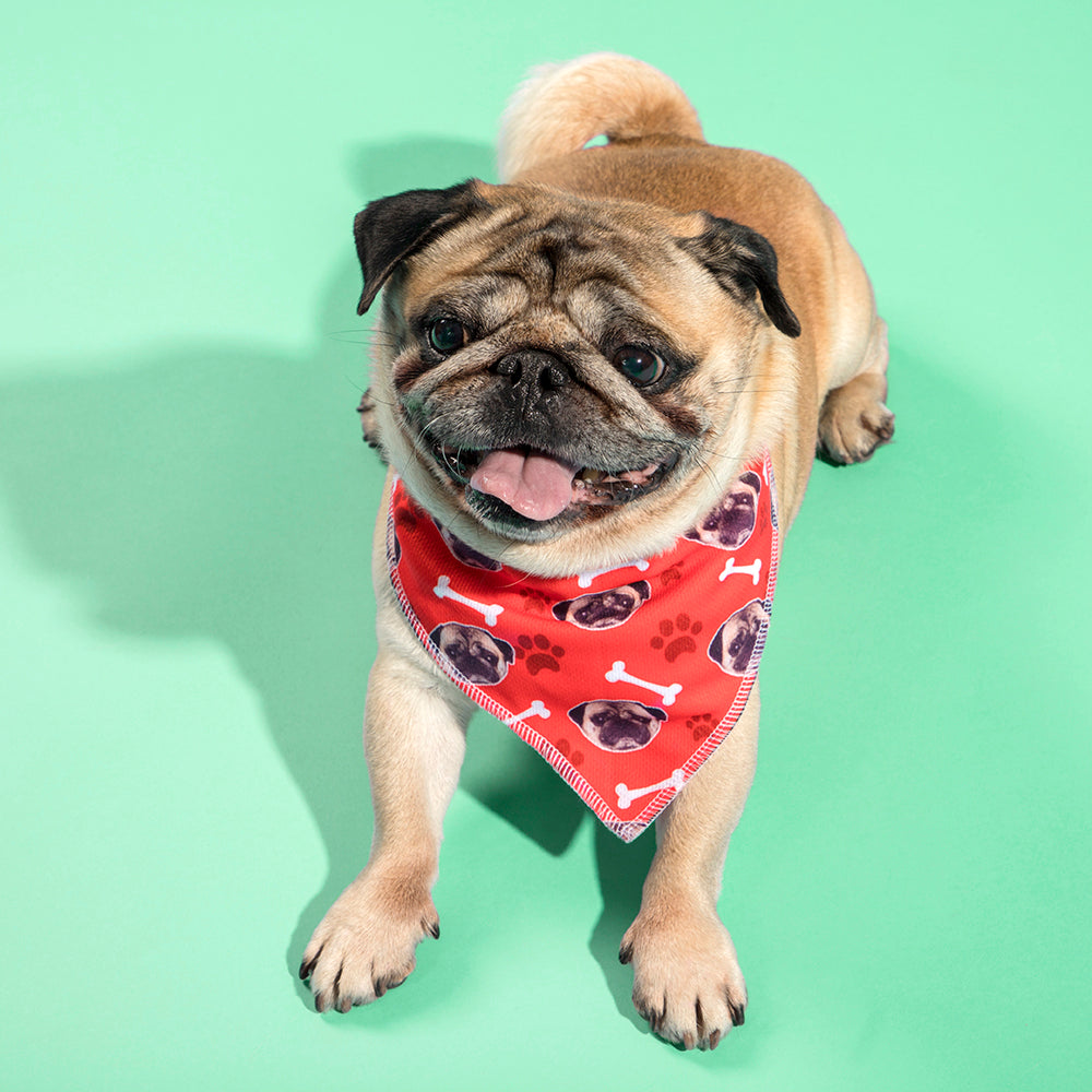 The Dogsy Bandana