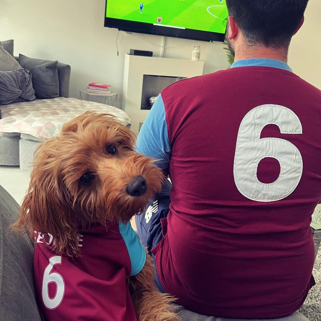 Personalized West Ham Dog Shirt