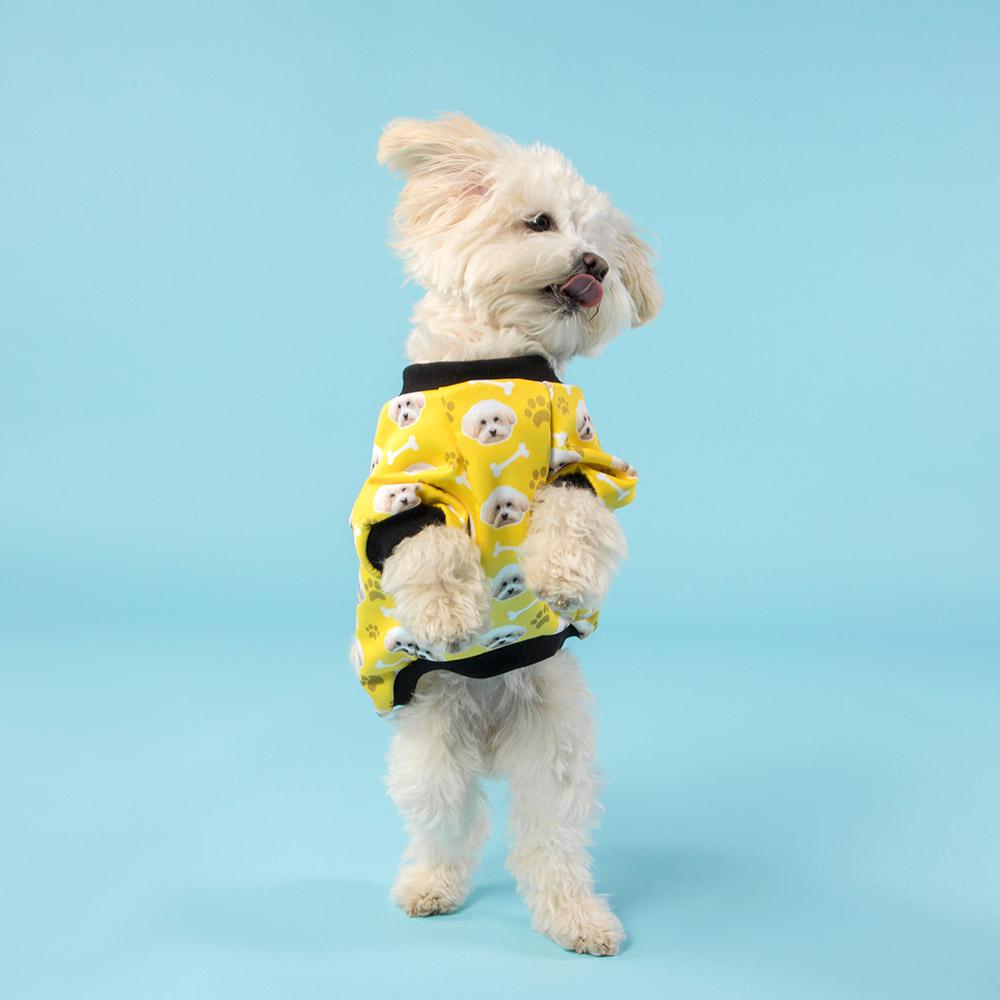 Personalized Dog Sweater