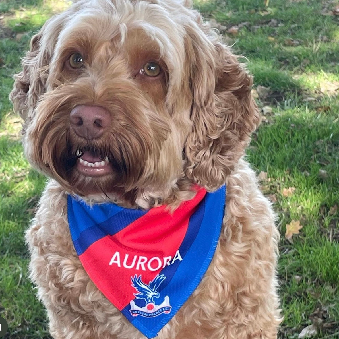 Personalized Crystal Palace Dog Bandana