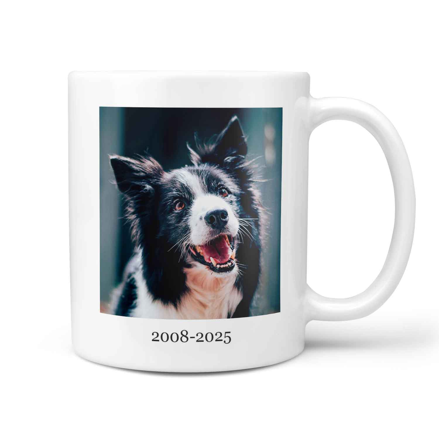 (Dog Name) You Left Paw Prints On My Heart Personalized Memorial Mug