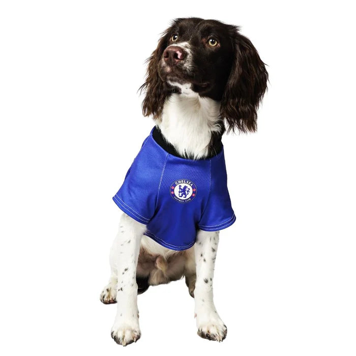 Personalized Chelsea Dog Shirt