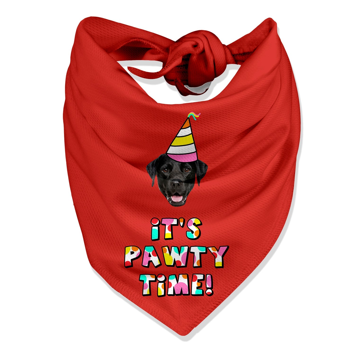 It's Pawty Time Personalized Dog Bandana