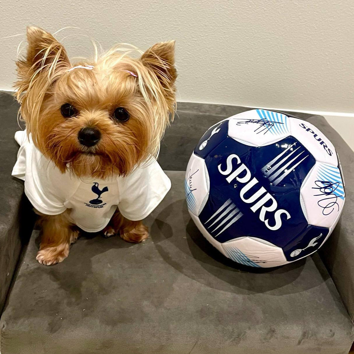 Personalized Spurs Dog Shirt