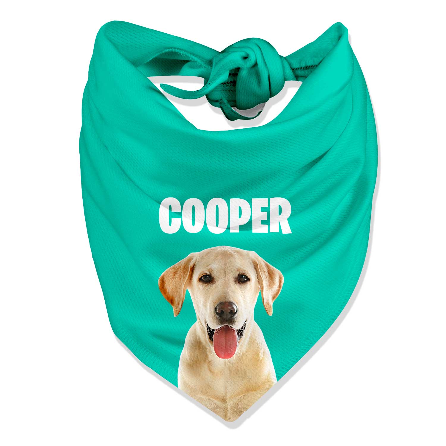 Your Dog Name Personalized Bandana