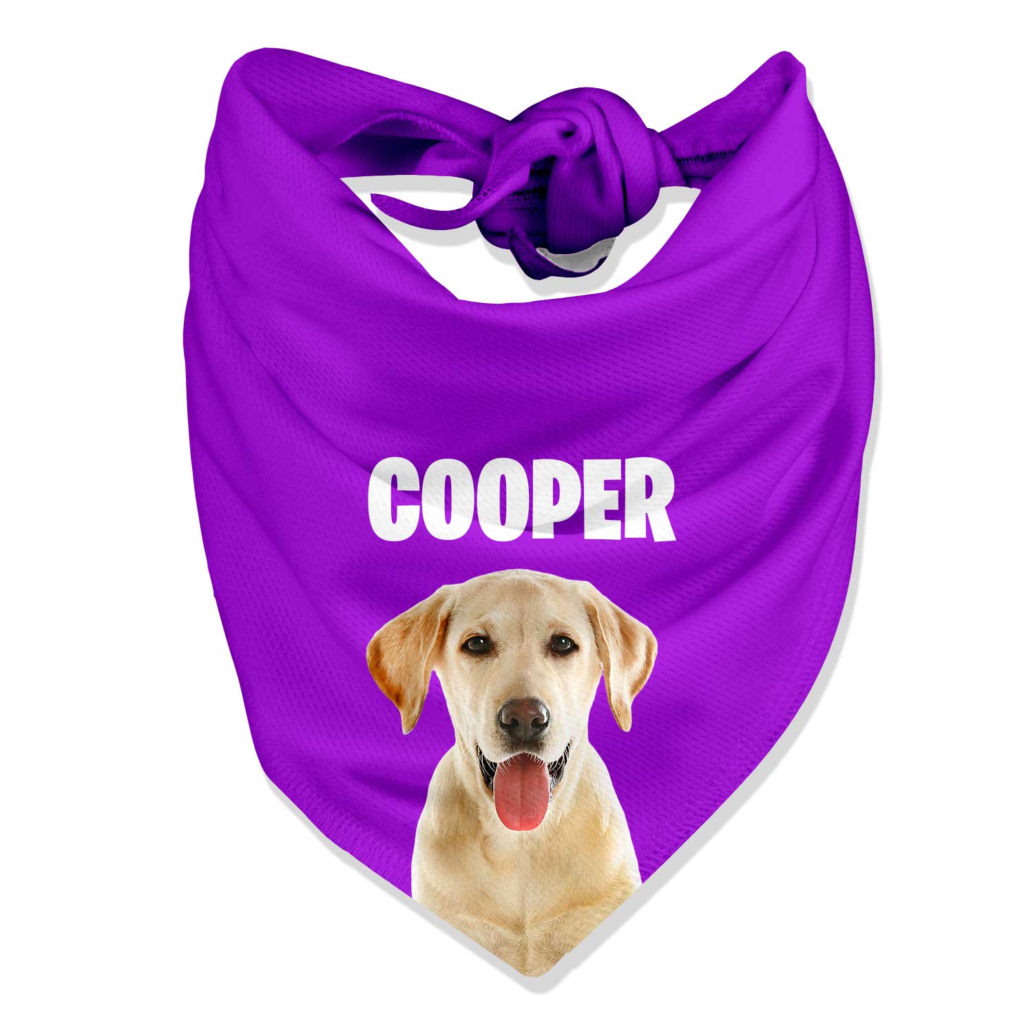 Your Dog Name Personalized Bandana