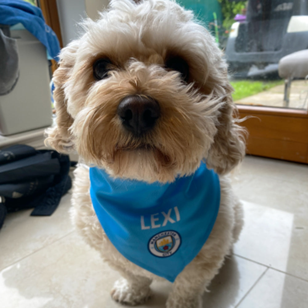 Personalized Man City Dog Bandana