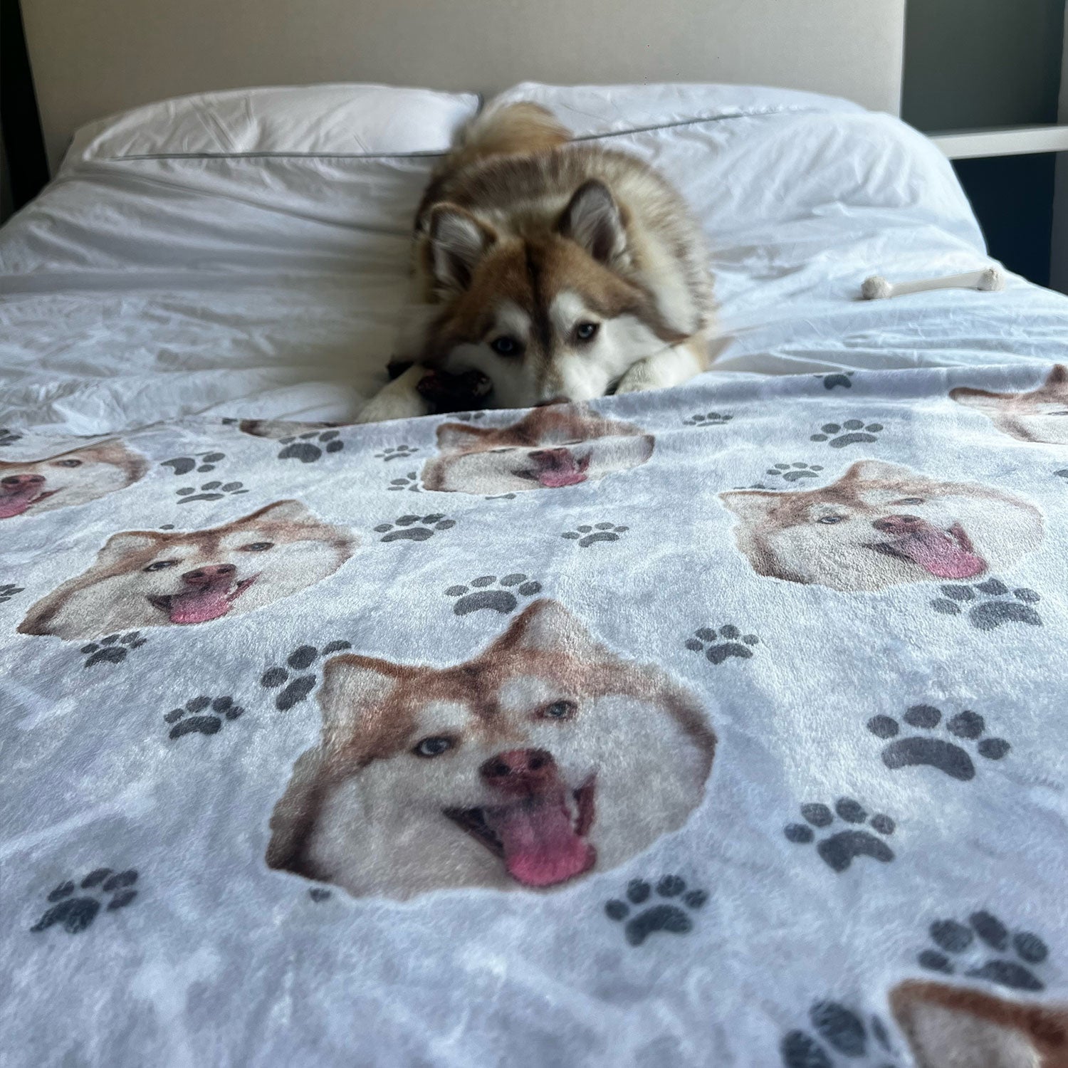 dog personalized blanket