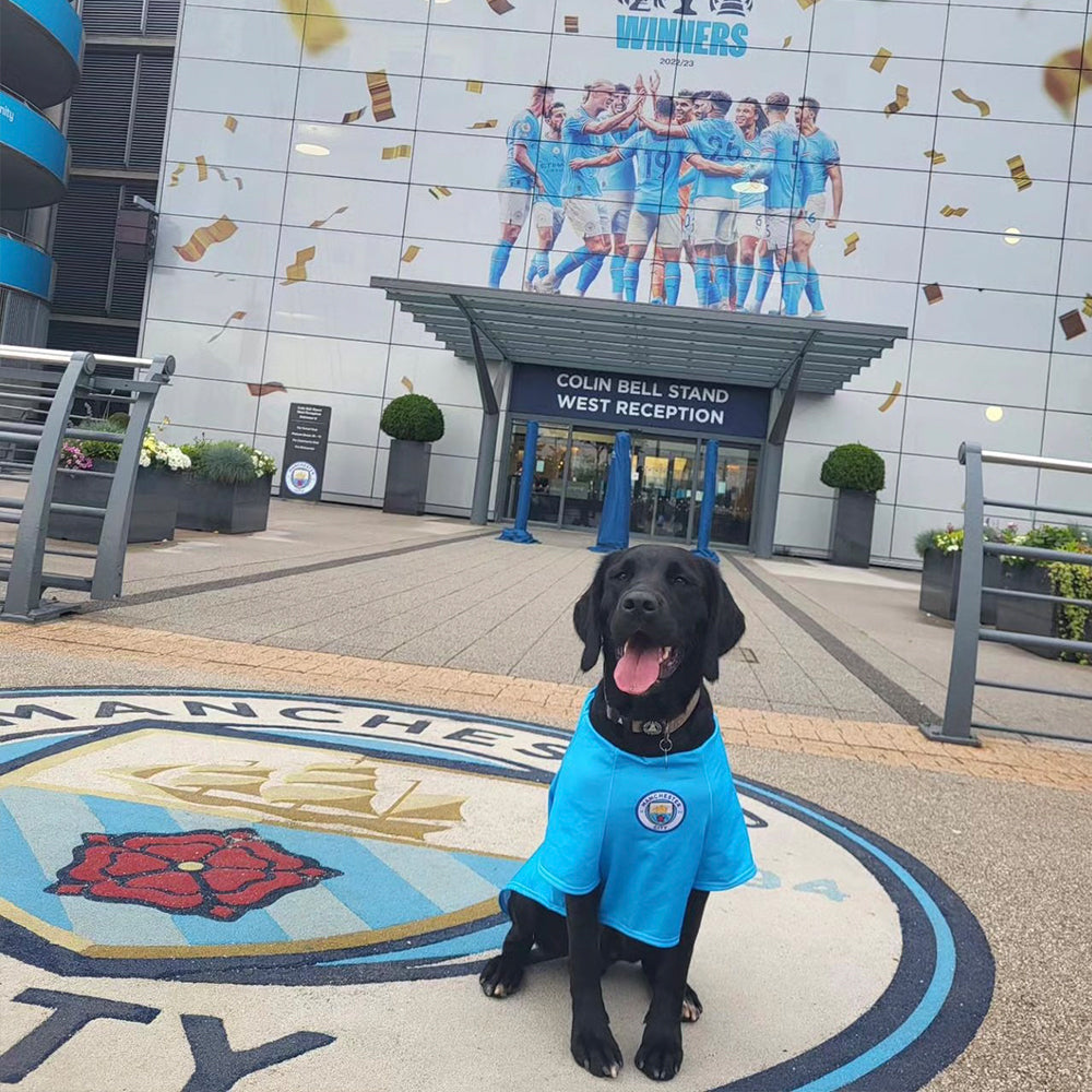 Personalized Man City Dog Shirt