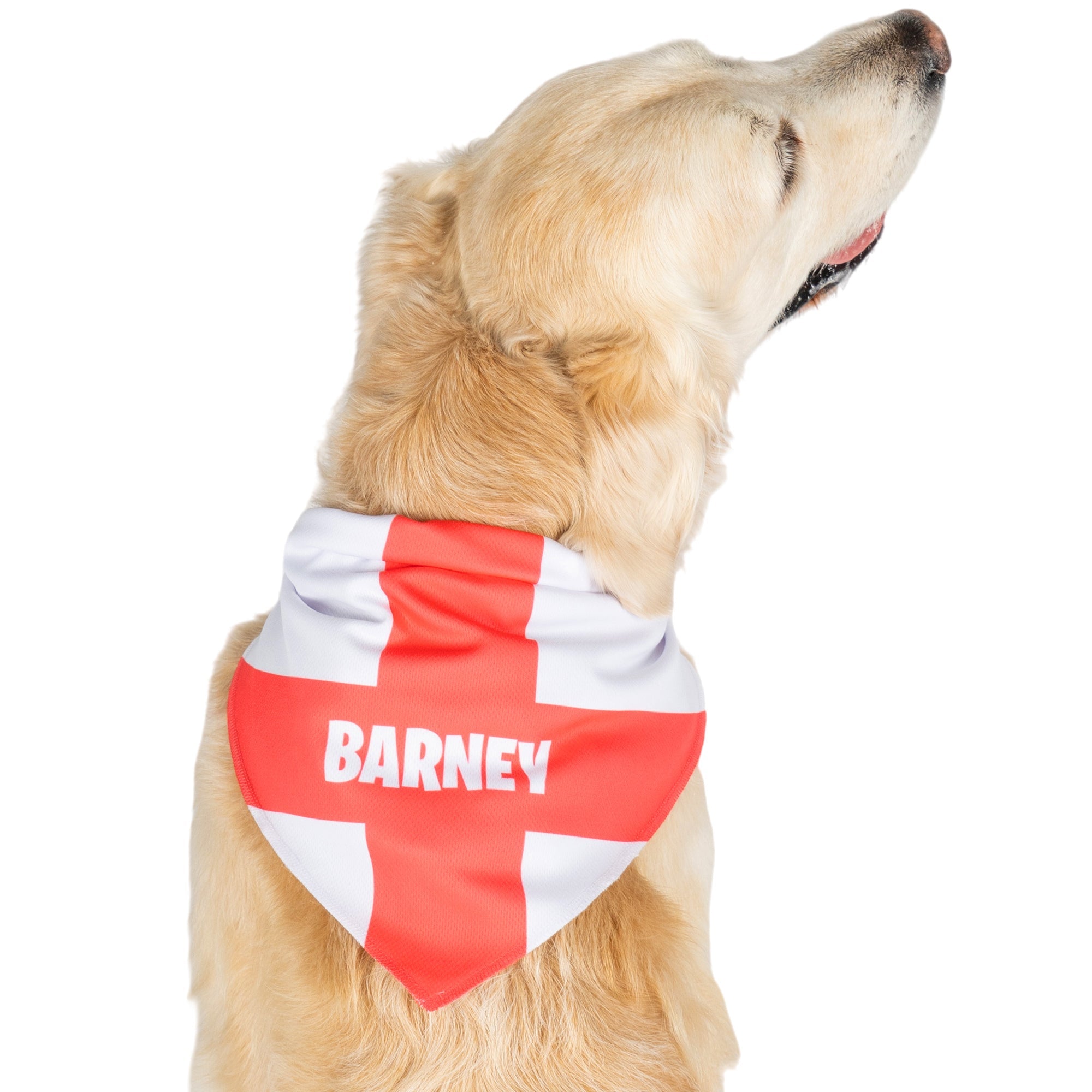 personalized dog bandana with england flag