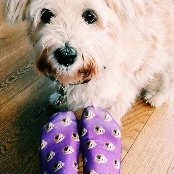 Pattern Dog Socks