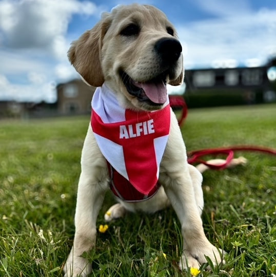 Personalized England Dog Bandana