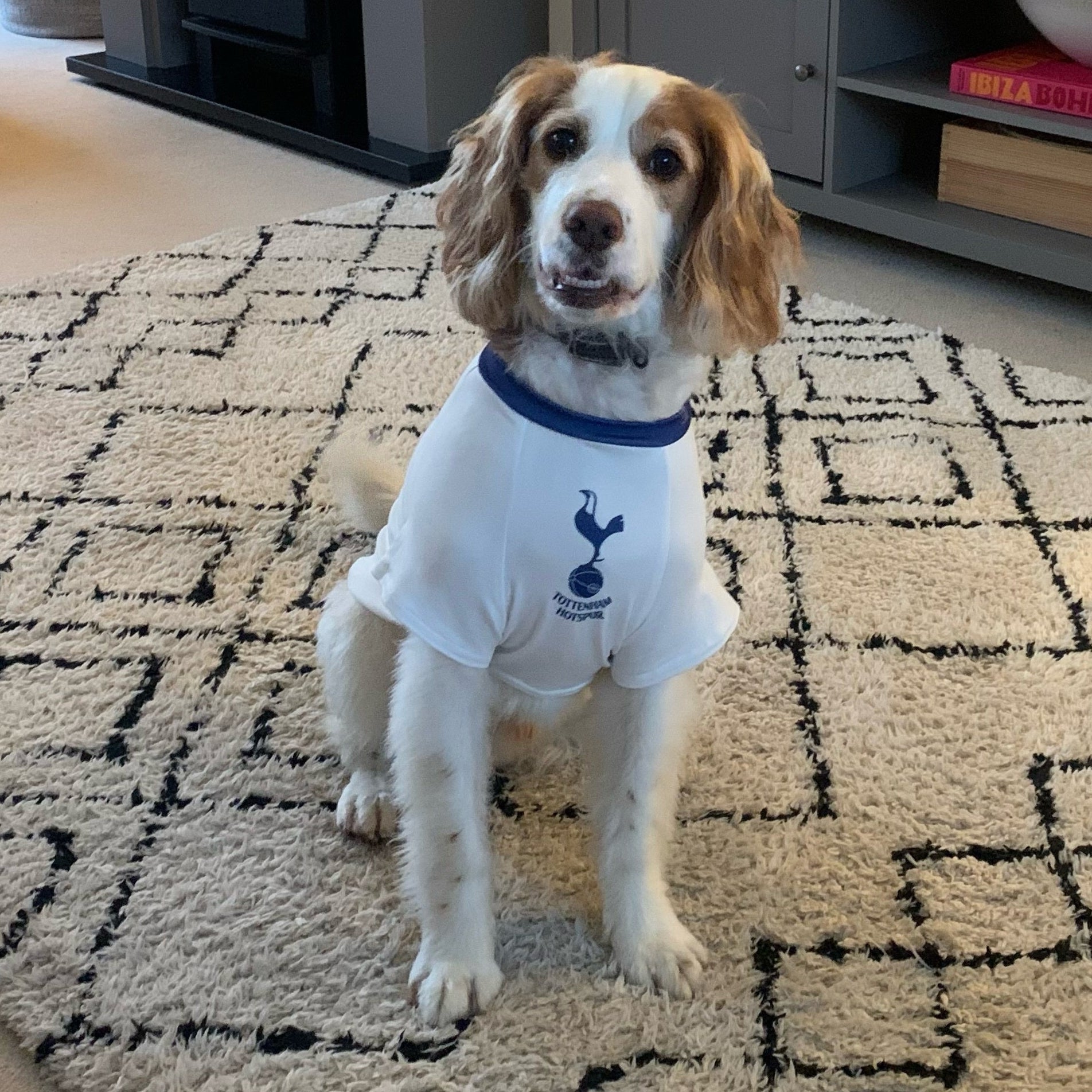 Personalized Spurs Dog Shirt