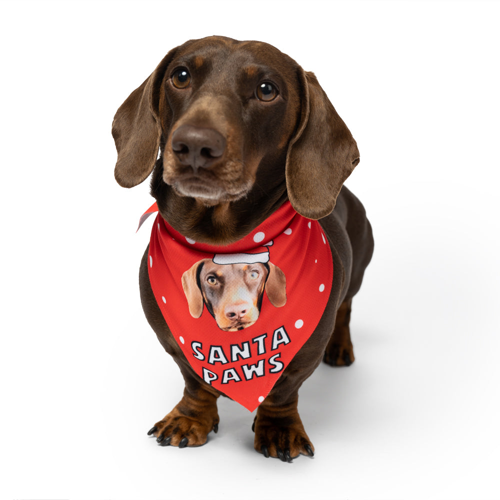 personalized christmas dog bandana