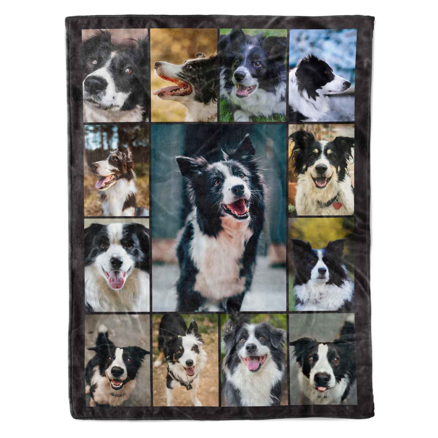 Blanket with a collage of a dog's photos on a white background