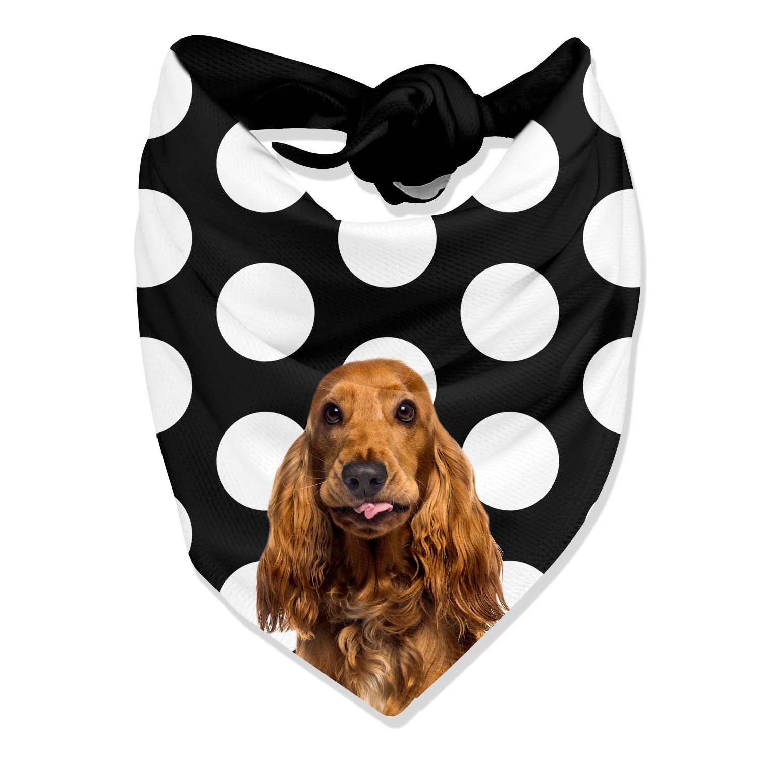 Dogzy Spotty Personalized Dog Bandana