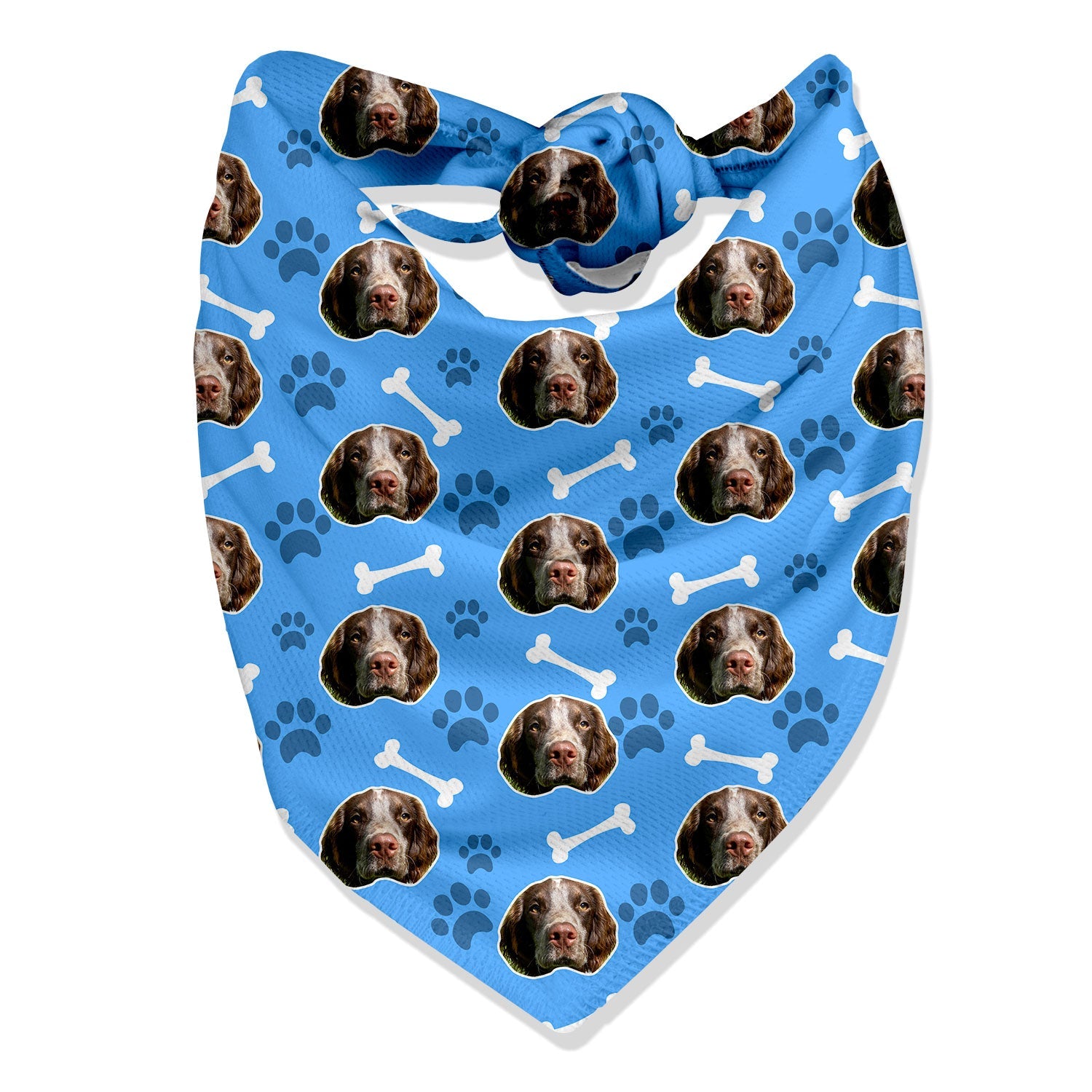 dog bandana photo