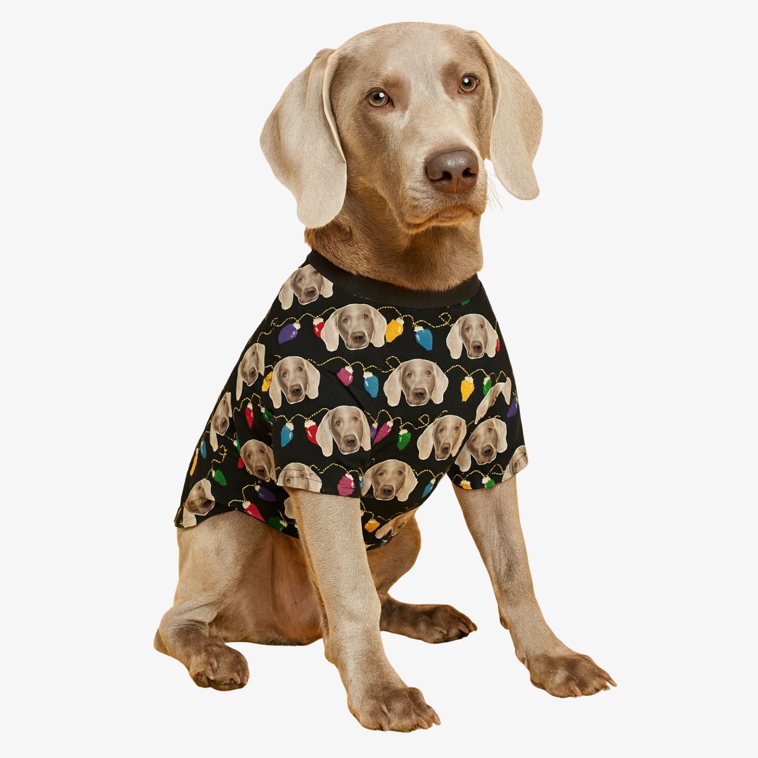 Christmas Lights Personalized Dog T Shirt