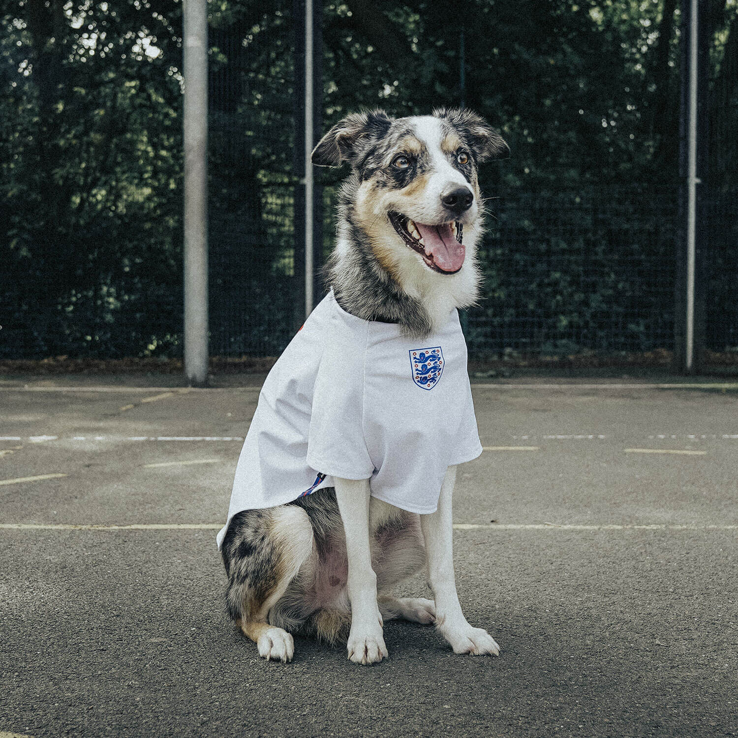 England Dog Football Shirt