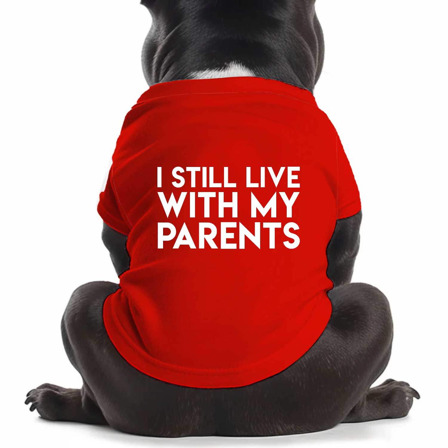 I Still Live With My Parents Dog T Shirt