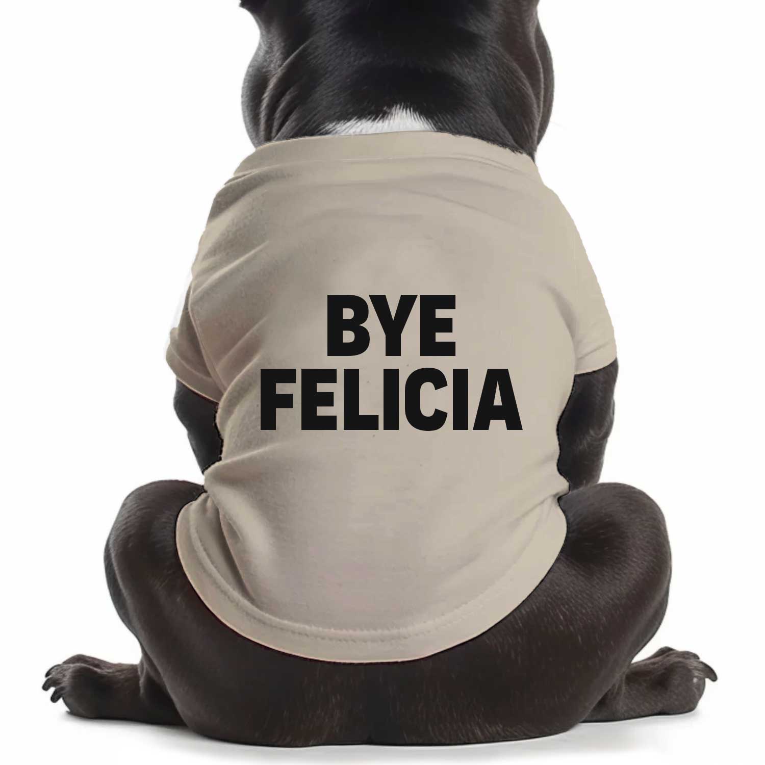 Bye Felicia Dog T Shirt